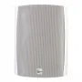 Настенная  акустика TruAudio OL-70V-6WT